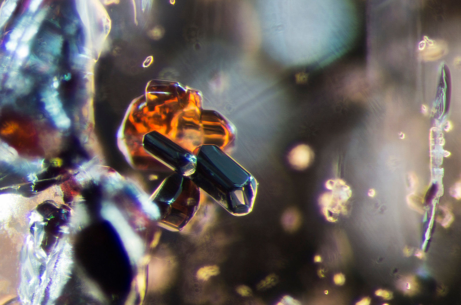 R-001-8774-2.jpg
