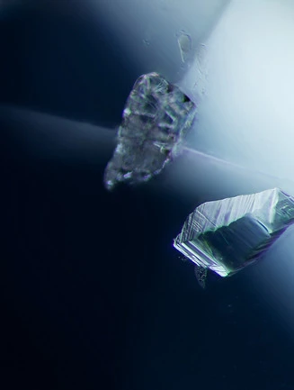 A-003-7256-1.jpg